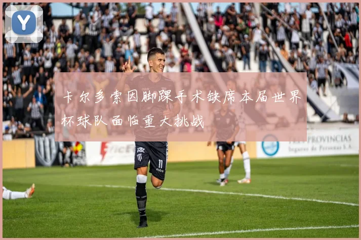 卡尔多索因脚踝手术缺席本届世界杯球队面临重大挑战