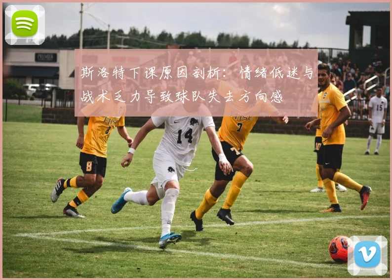 斯洛特下课原因剖析：情绪低迷与战术乏力导致球队失去方向感